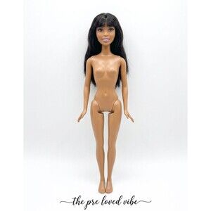 Barbie African American Bath Play Fun Nikki Doll AA  2010